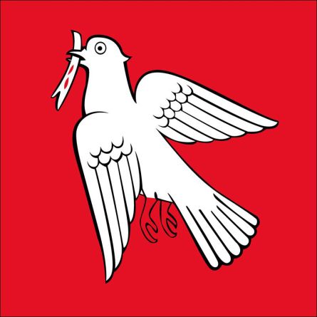 Pfäfers flag